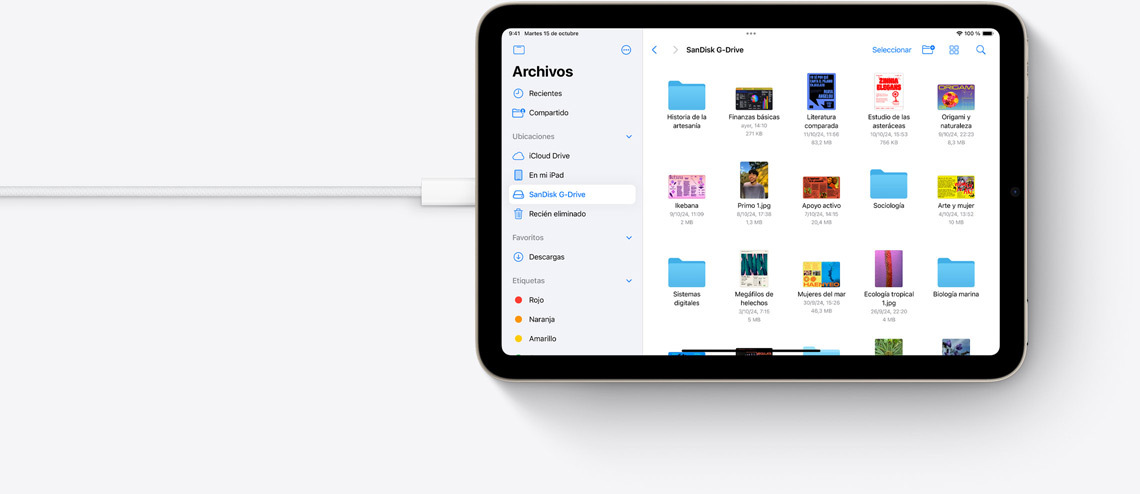 Archivos en un iPad mini en horizontal conectado a un cable USB‑C.