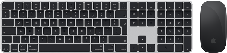 Top view of Magic Keyboard with Touch ID and Magic Mouse