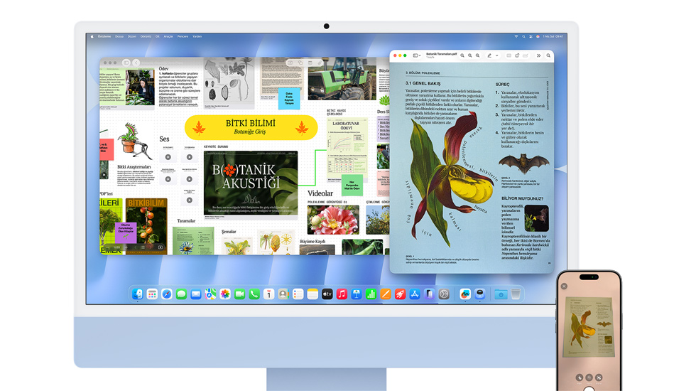 Ekranında canlı bir içerik gösterilen bir iMac ve bir iPhone.